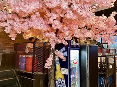 -乐园夜市场(五道口王庄路店)