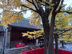 -红螺寺