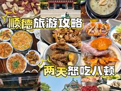 -丰尔粥食·粥底火锅·桑拿鸡(大良总店)
