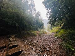-五泄景区
