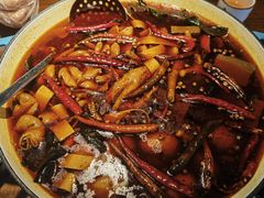肥肠鸡爪煲-马头巷·食景园(苏州总店)