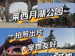 -莱西月湖公园