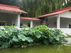 -丰台花园