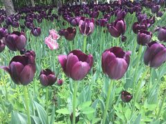 -长春公园(普阳街道)