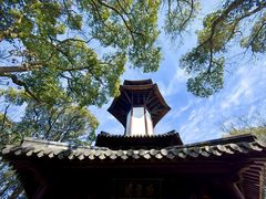 -上海佘山国家森林公园天马山园