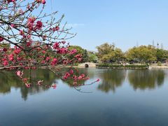 -无锡蠡湖国家湿地公园-蠡园