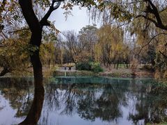 -贵阳市花溪国家城市湿地公园
