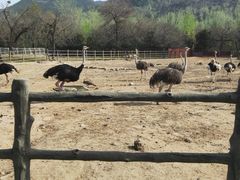 -西安秦岭野生动物园