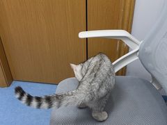 -博特宠物医院24h犬猫全科.骨科·异宠