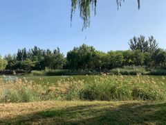 -大兴滨河森林公园