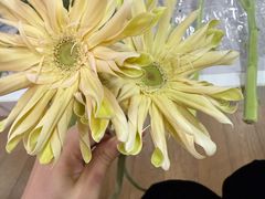 -Something For(鹏润达店)