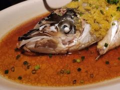 -绿茶餐厅(成都大悦城店)