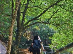 -黄山翡翠谷景区