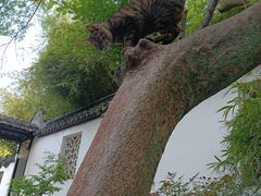 -西园戒幢律寺