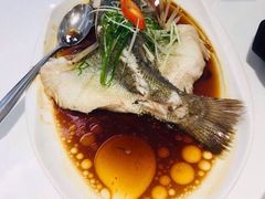 -至潮餐厅精致粤菜·活鲈鱼·走地鸡(珠江新城店)