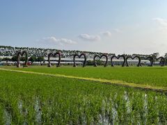-迪茵湖田家舍生态农场