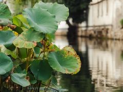 -仓桥直街