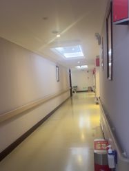 -南京医科大学友谊整形外科医院