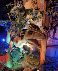 -恐龙探索乐园(磁器口店)