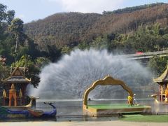 -西双版纳原始森林公园