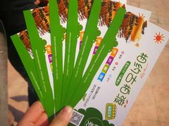 -古柏渡飞黄旅游区