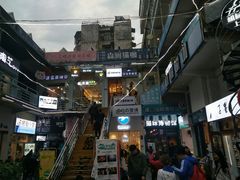 -猫咪博物馆(顶澳仔猫街店)