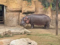 -沈阳森林动物园