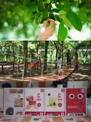 -优沃得自然教育农场·冰雪乐园·生日会·研学