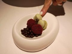 -蝶舍·MAISON PAPILLON