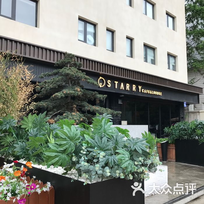 starry cafe & lounge bar