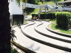-圣淘沙天际线斜坡滑车