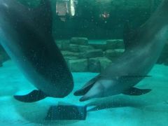 -波塞冬旅游度假区