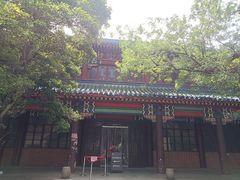 -灵谷景区