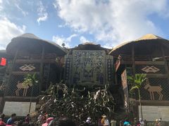 -海南槟榔谷黎苗文化旅游区