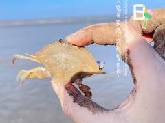 -启东黄金海滩景区