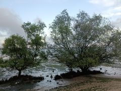 -霞山观海长廊