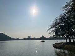 -顺峰山公园