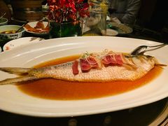 -夜上海(新天地店)