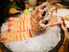 鳌虾-初花·日本料理