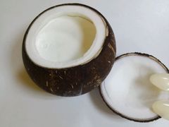 -志龙皇冠吃货椰子铺
