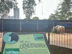 -南宁市动物园