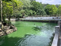 -黔灵山公园