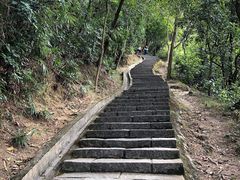 -火炉山森林公园