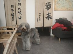 -沏点Trattoria意大利餐厅(新街口店)