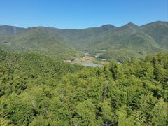 -宁波浙东大竹海景区