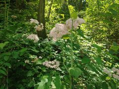 -终南山南五台景区