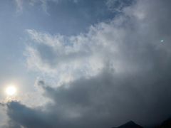 -王顺山国家森林公园