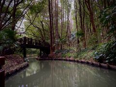 -同里国家湿地公园