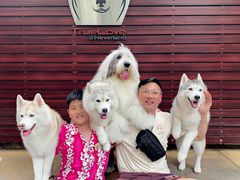 -TrueLove @ Neverland (Husky Cafe)