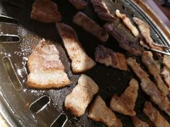 -杨小佳·齐齐哈尔烤肉·烤串(广州店)